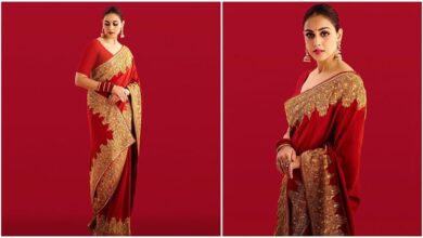 genelia red saree 1e05955a6e9080bffb3858b36263b61a.jpeg